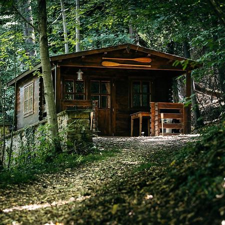 La Cabane De La Saone, Lyon Country House Caluire-et-Cuire Ngoại thất bức ảnh