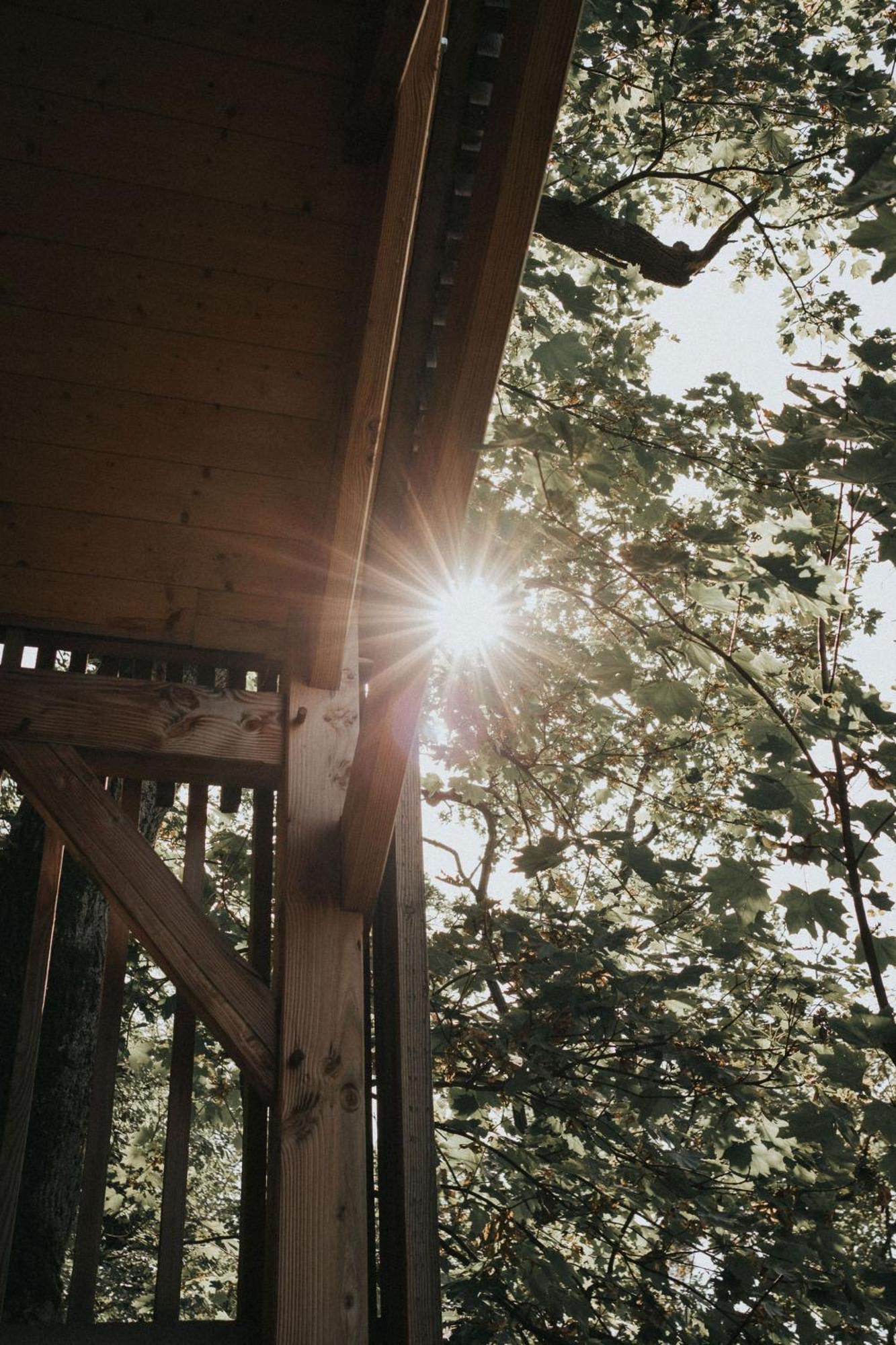 La Cabane De La Saone, Lyon Country House Caluire-et-Cuire Ngoại thất bức ảnh