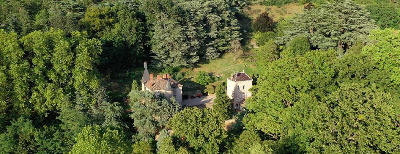 La Cabane De La Saone, Lyon Country House Caluire-et-Cuire Ngoại thất bức ảnh