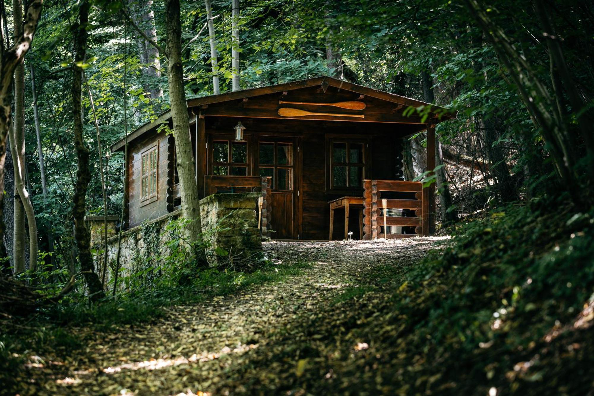 La Cabane De La Saone, Lyon Country House Caluire-et-Cuire Ngoại thất bức ảnh