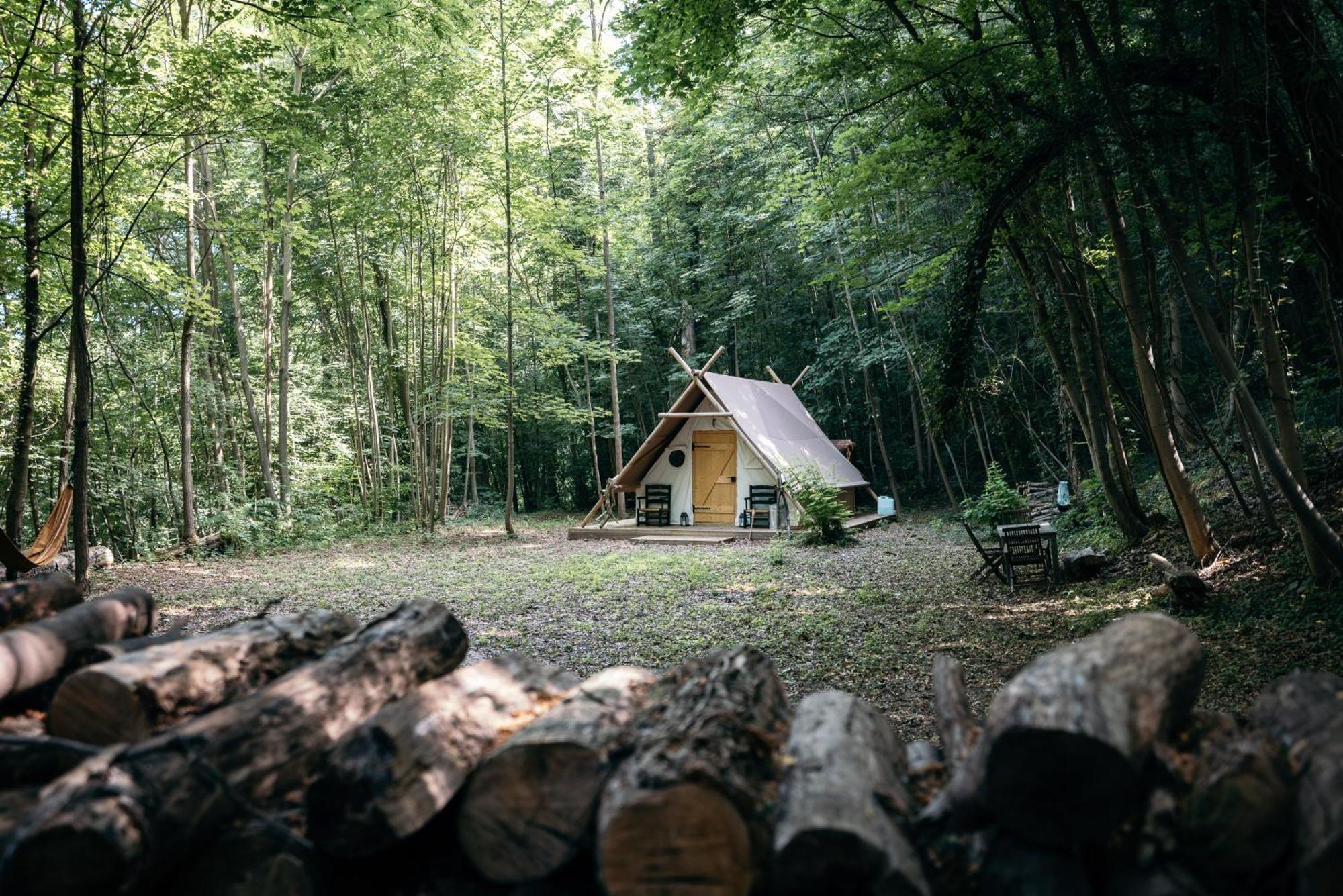 La Cabane De La Saone, Lyon Country House Caluire-et-Cuire Ngoại thất bức ảnh