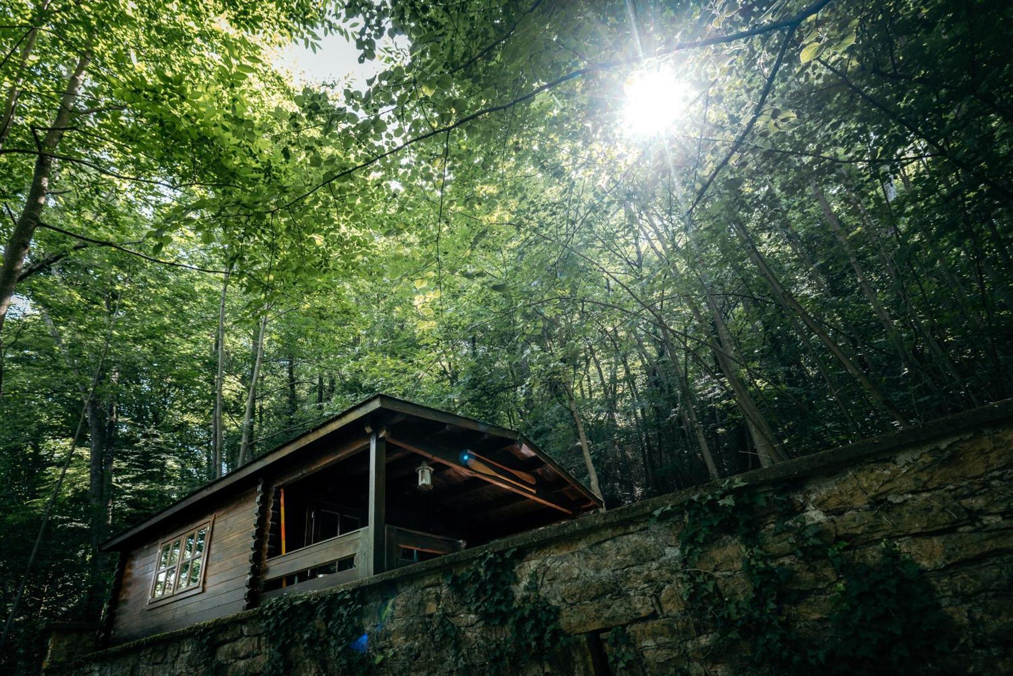 La Cabane De La Saone, Lyon Country House Caluire-et-Cuire Ngoại thất bức ảnh