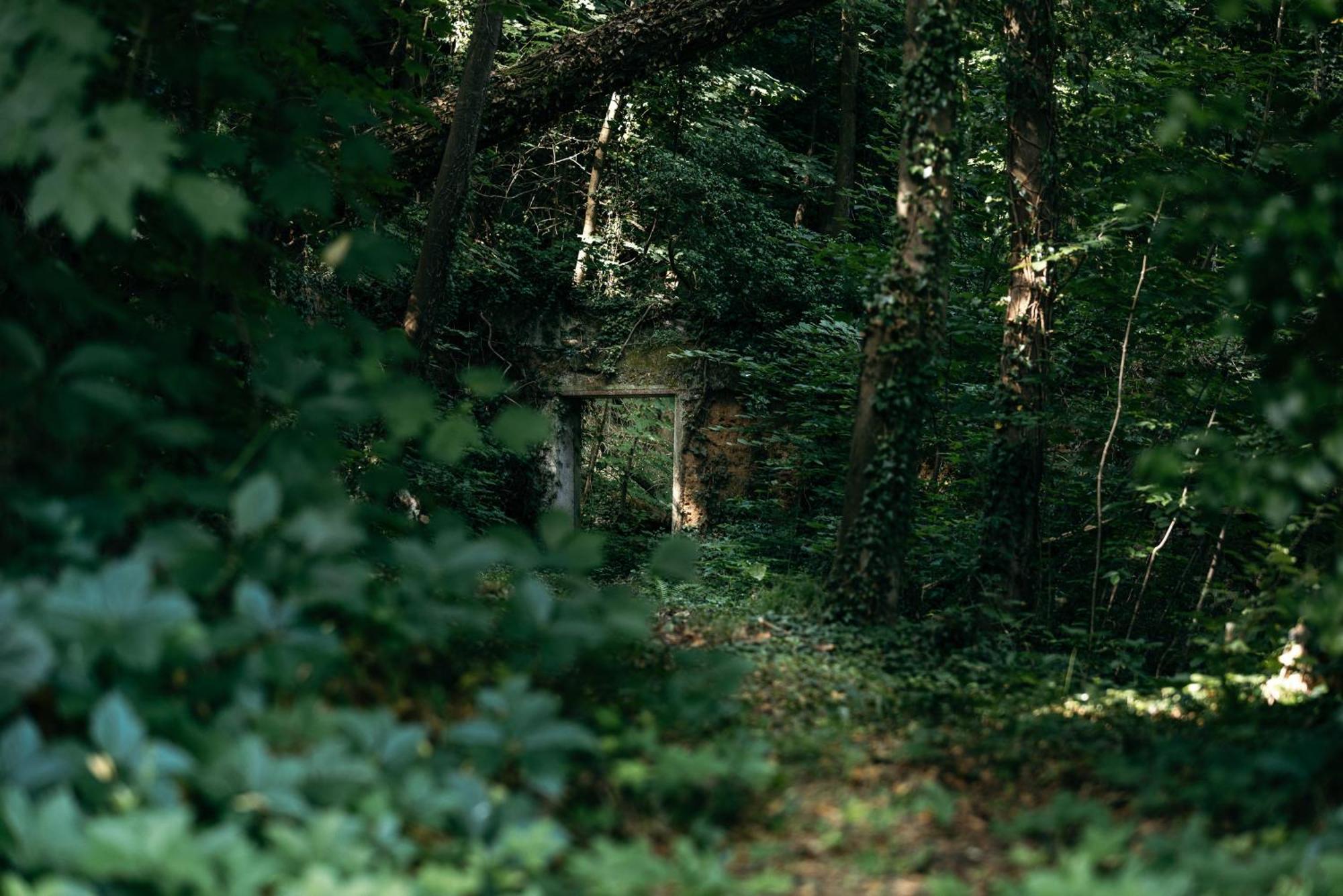 La Cabane De La Saone, Lyon Country House Caluire-et-Cuire Ngoại thất bức ảnh