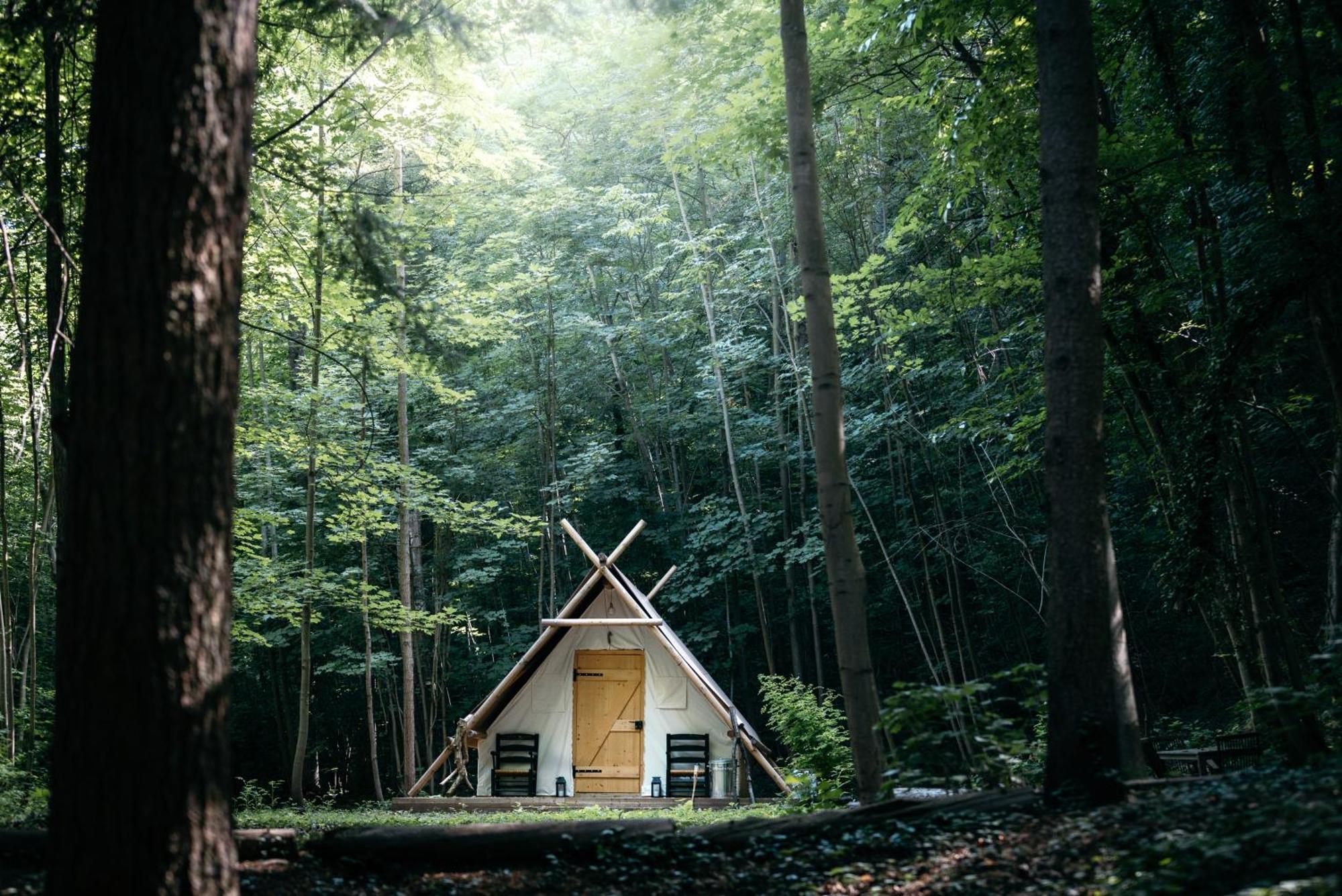 La Cabane De La Saone, Lyon Country House Caluire-et-Cuire Ngoại thất bức ảnh